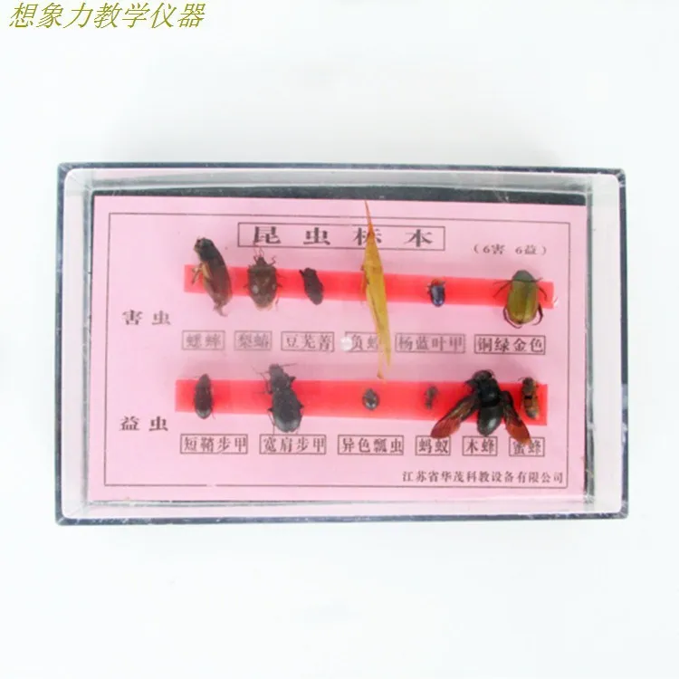 6 6 harm beneficial insect specimens in biological experiment teaching