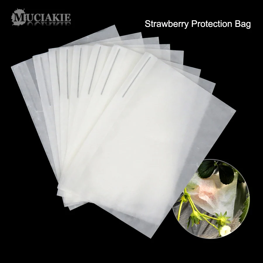 Us 1 27 26 Off Muciakie Strawberry Protection Grow Bags Cherry Nursery Fruit Cover Wax Paper Waterproof Anti Insert Provention For Date In Us 1 27 26 Off Muciakie Strawberry Protection Grow Bags Cherry Nursery Fruit Cover Wax Paper Waterproof Anti Insert Provention For Date In
