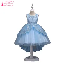Светло-Небесно-Голубые Платья с цветочным узором для девочек Детские платья с кружевом и фатиновой юбкой 6 цветов, платья для причастия для девочек, ZF027