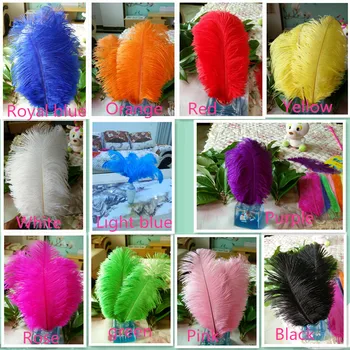 

Sell high quality 500pcs / lot ostrich feather 8-10 "/ 20-25cm, DIY jewelry accessories / Custom Colors