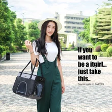 DannyKarl сумка плюшевый собачий питомник сетчатая Складная летняя сумка для домашних животных вентиляционная сумка для собак Сумка для кошек