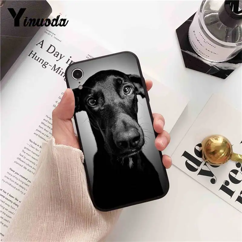 Dachshund Doberman Dog face