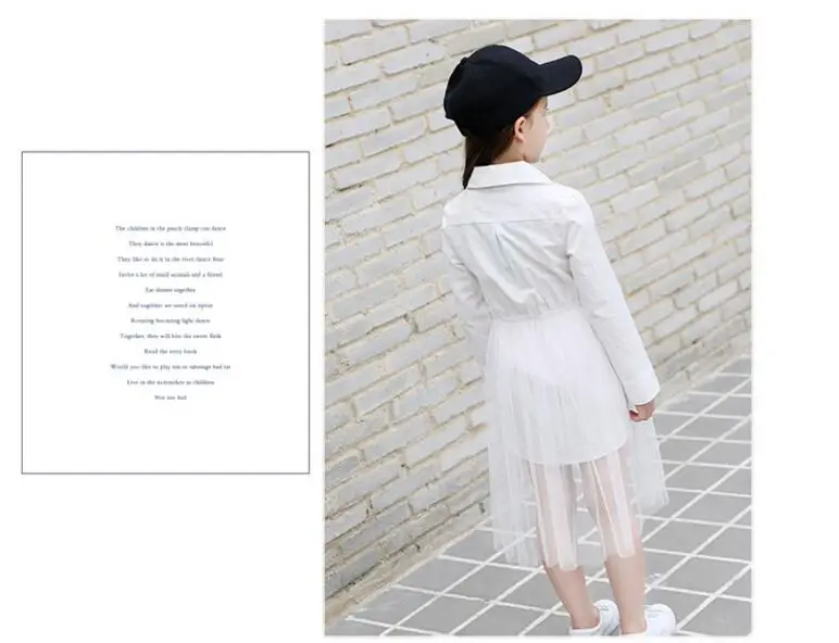 QQ20171005223452