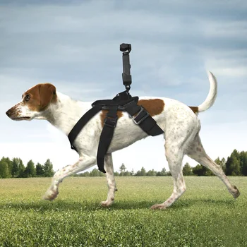 

Pet Dog Band + Expansion Adapter Dog Strap Mount Connector for DJI Osmo Pocket Camera dog chest strap for GOPRO Accessories