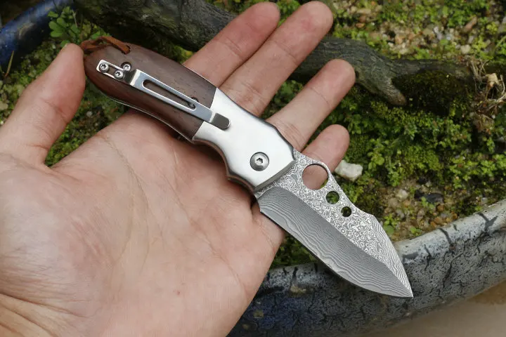 DREAM2750-2