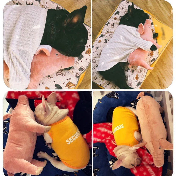 10257456098_127889007