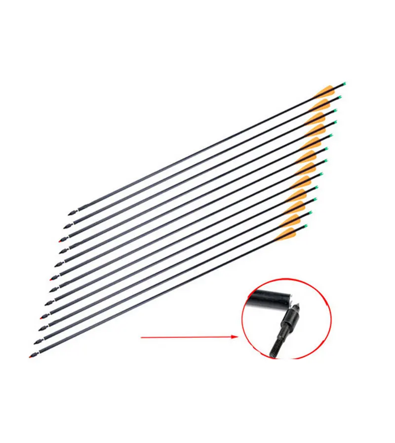 

18 pcs Shooting Fiberglass Steel Arrow with Replaceable Arrowhead and Plastic Feather for Long Bow Hunting and Shooting birds