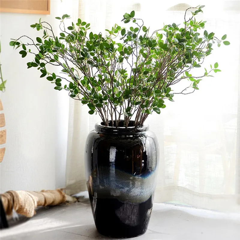 green plants (1)