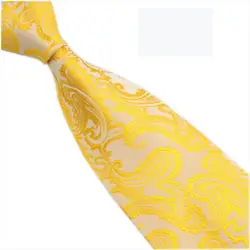 Для мужчин Классические Пейсли ЖАККАРДОВЫЕ тканые смесь Цвет шелковый галстук вечернее галстук 15 цветов