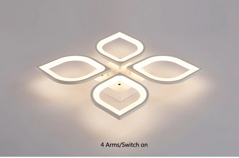 ceiling light (27)