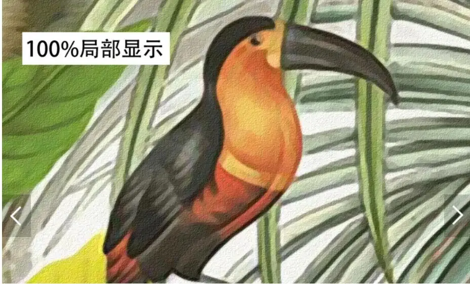 Тропическая фотообои Toucan Настенный декор ручная роспись природа дождевой лес