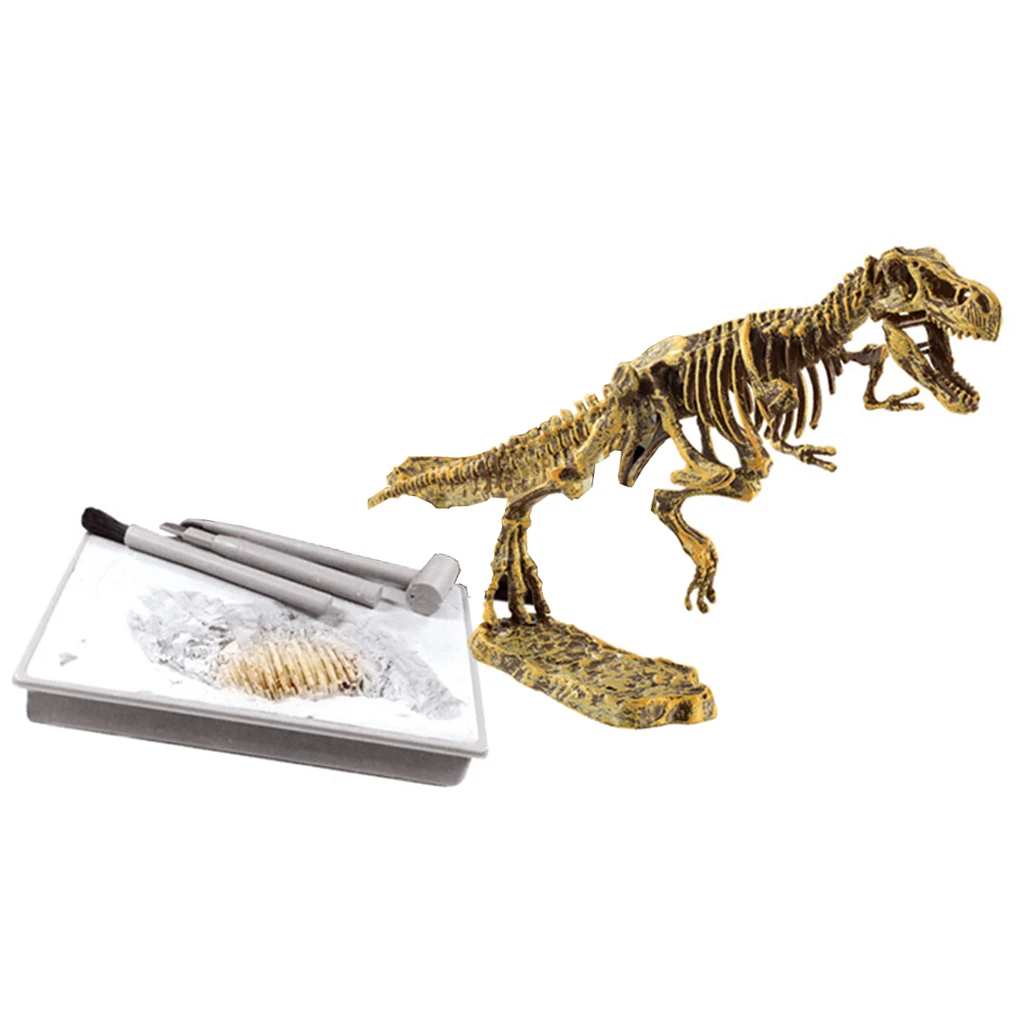 Reparación posible rizo canto Kits de excavación de dinosaurios para niños, juguete educativo de  arqueología, Paleontología, tiranosaurio| | - AliExpress