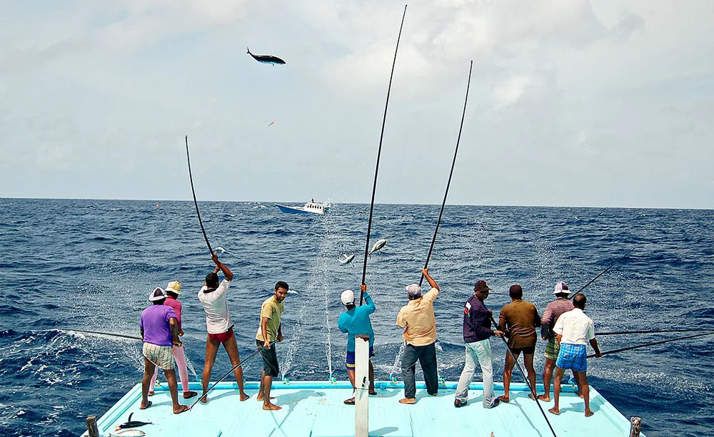 HTB118i6PXXXXXbQXVXXq6xXFXXXZ