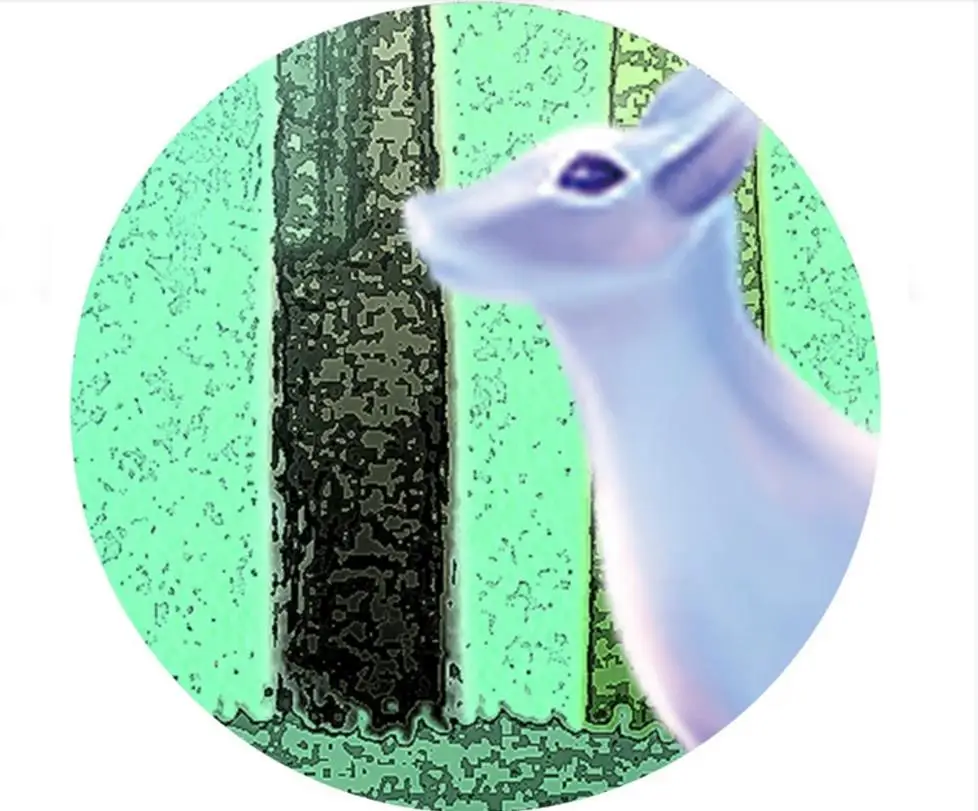 36