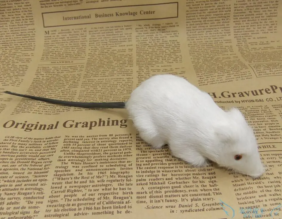 

new creative simulation mouse toy polyethylene & fur white mouse model gift about 10x5cm138