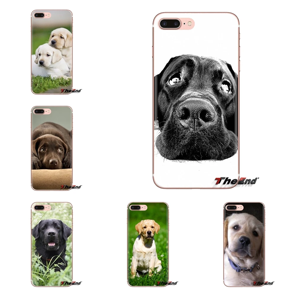 labrador puppies dog Soft Transparent Cases Covers For Xiaomi Mi4 Mi5 Mi5S Mi6 Mi A1 A2 5X 6X 8 9 Lite SE Pro Max Mix 2 3 2S |