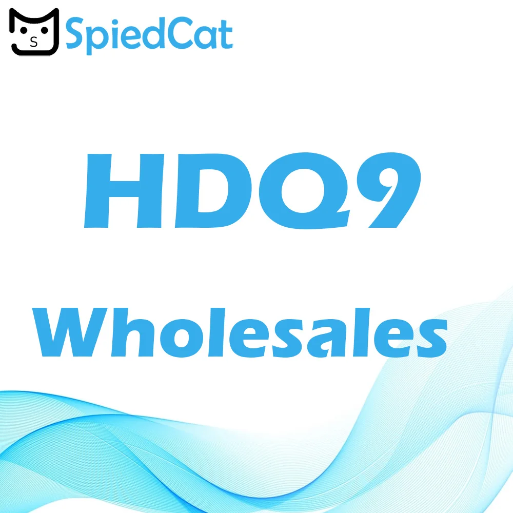 HDQ9 WI FI [Поддержка челнока Элемент] Оптовые Мини Камера Беспроводной IP Быстрая