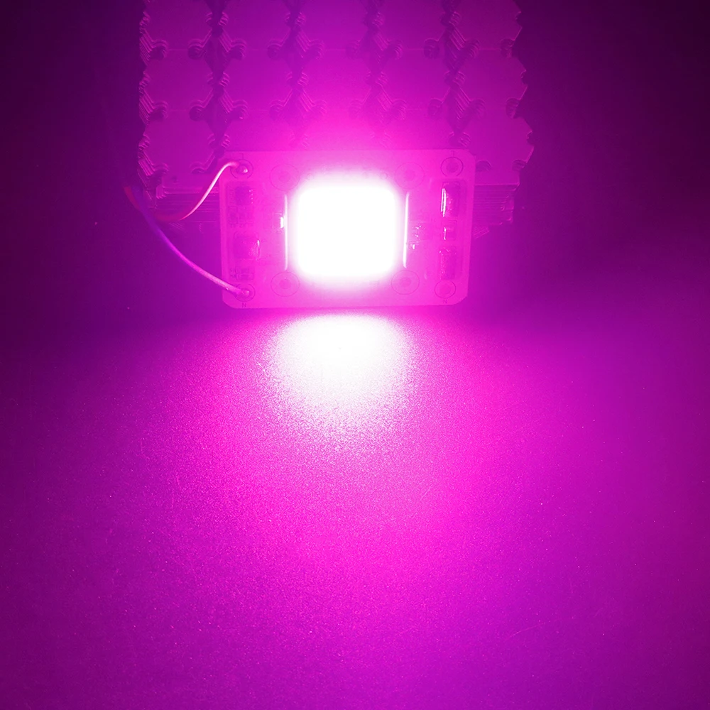 50 Вт светодиодный источник света AC 110 В 220 В Smart IC COB светодиодный LED высокой мощность лампочка чип для DIY прожектор нет необходимости драйвер JQ