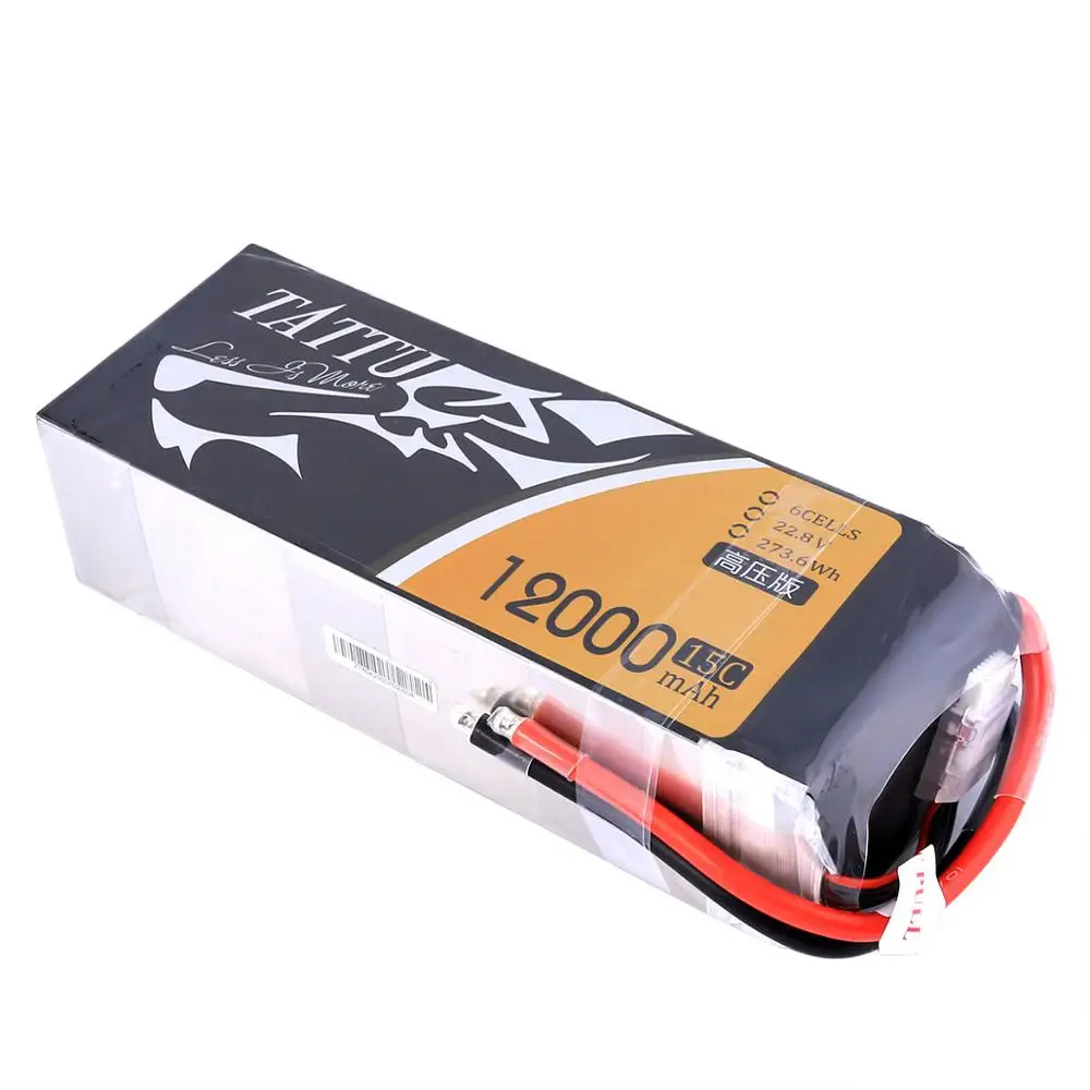 Lipo battery 6s (1)