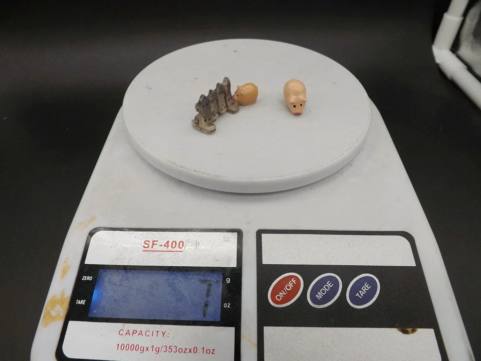 Tiny-S004Pig (16)