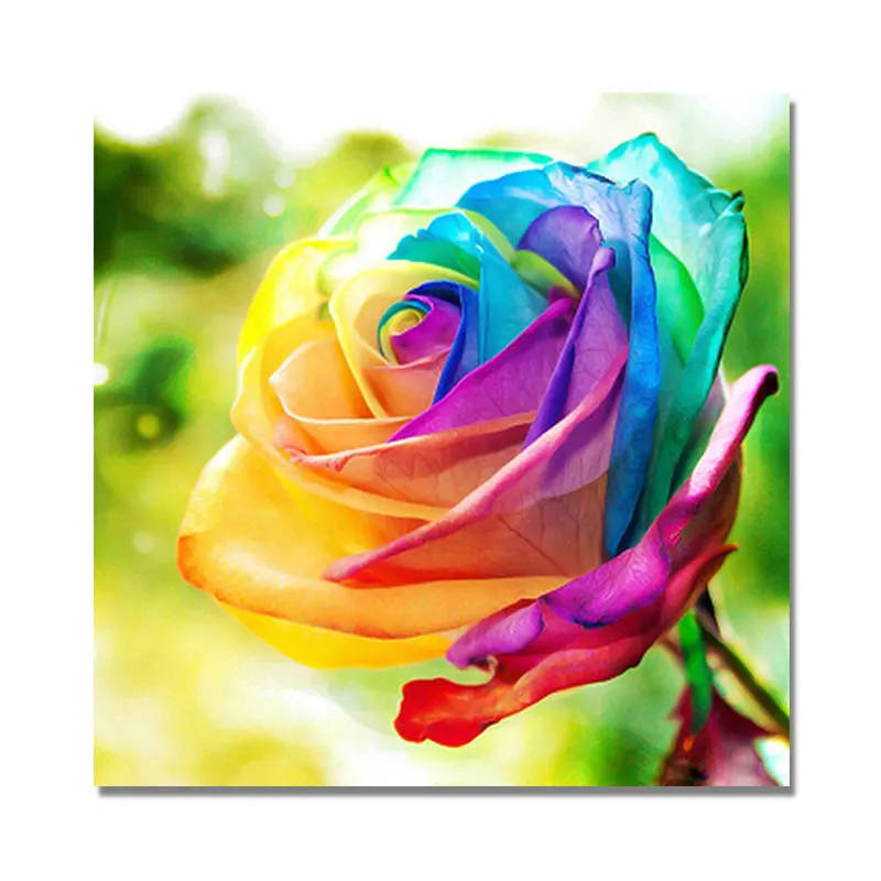 

Color rose DIY Diamond Painting Flower Cross stitch Diamond Embroidery pattern Diamond Mosaic Pattern Home decor