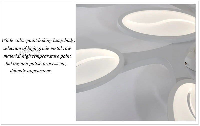 Post modern ceiling lamp (30)