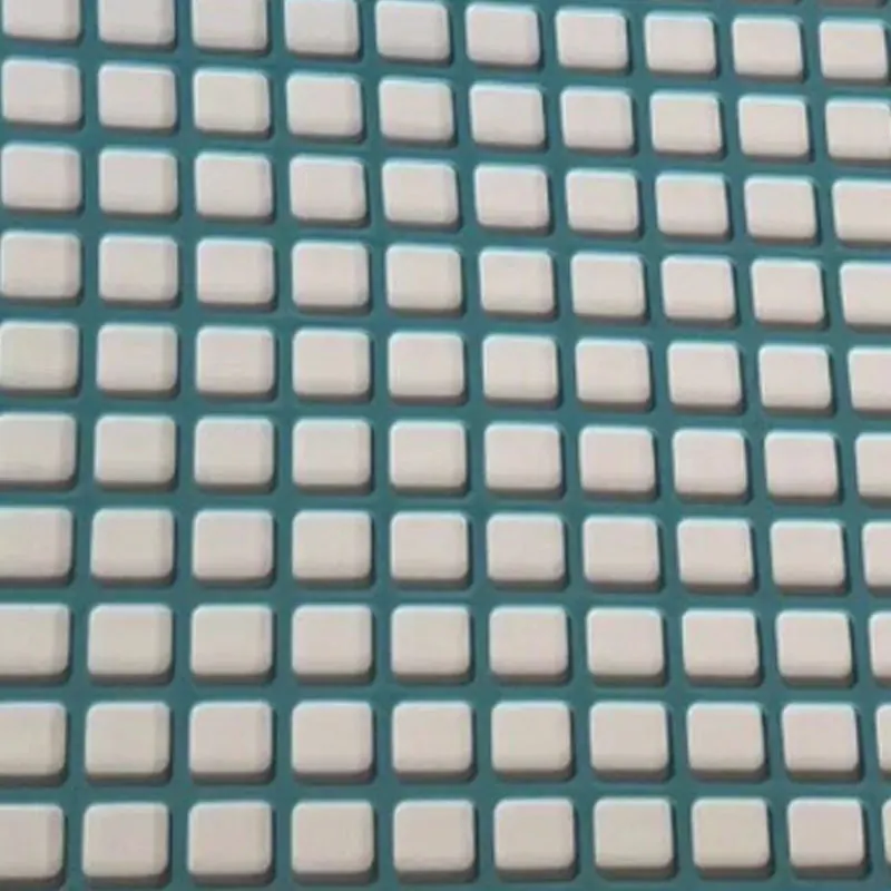 2-in-1 Rapid Defrosting Meat Tray Thawing Net Rapid Safety Thawing Net Quick Thawing Plate For Frozen Food Meat Kitchen Tool