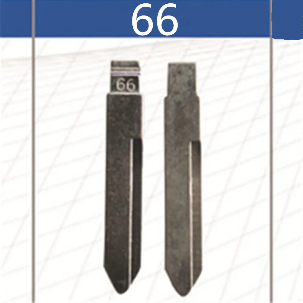 66