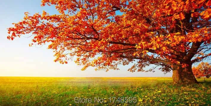 red tree-1