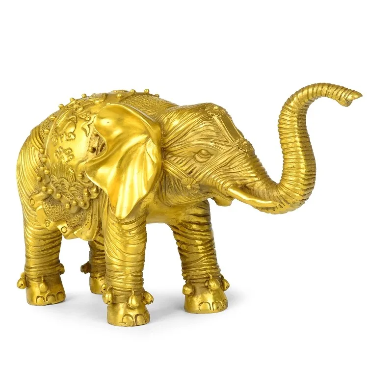 HTB1DGEjLVXXXXX3XXXXq6xXFXXXQ