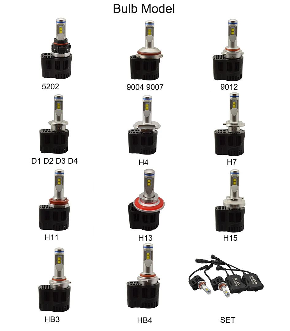 bulb model