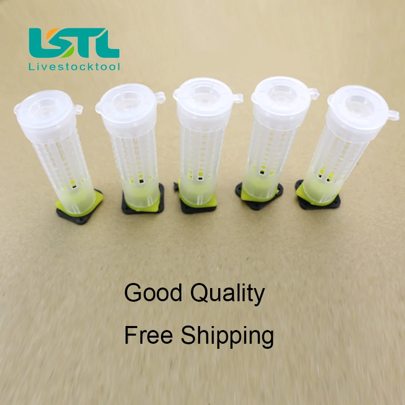 Free Shipping Italian 50 pcs Bee Cags Beekeeping Rearing Cups Queen Bee Cell Cup Holder Bee Honey Knife Tools for Beekeeperd35 photo
