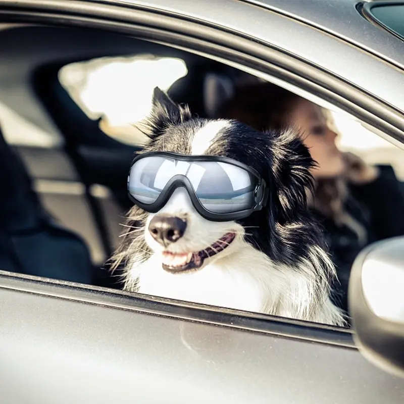 Petleso Large Dog Goggles Sunglasses UV Goggles Golden Retriever Goggles 