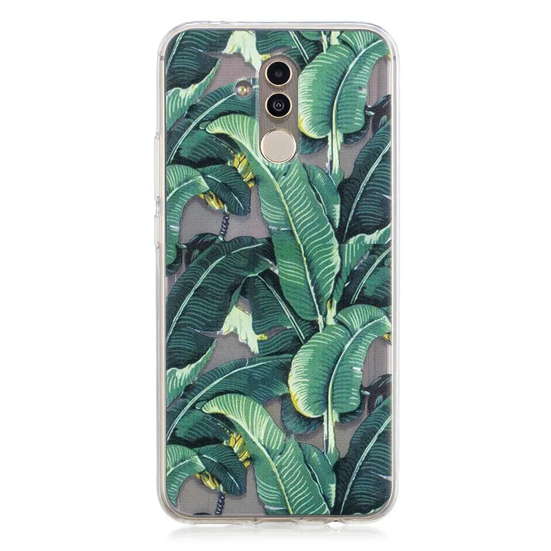 20 (1)