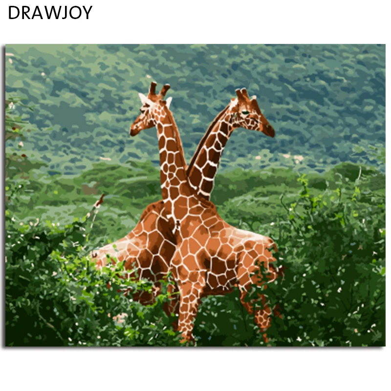 

DRAWJOY Framed Picture Painting & Calligraphy Of Loely Animals DIY Painting By Numbers Coloring By Numbers For Living Room