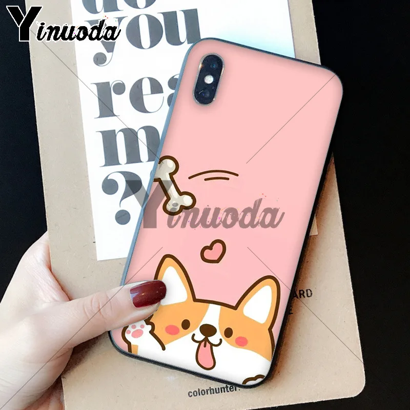 cute Corgi dog