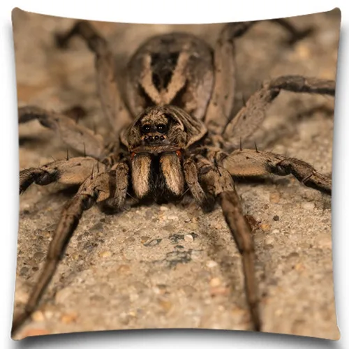 

Grey/Red/Orange Spider Square Cushion Covers Insect Blue Yellow Throw Pillows Cover for Home car sofa Decor 16 18 20 inches