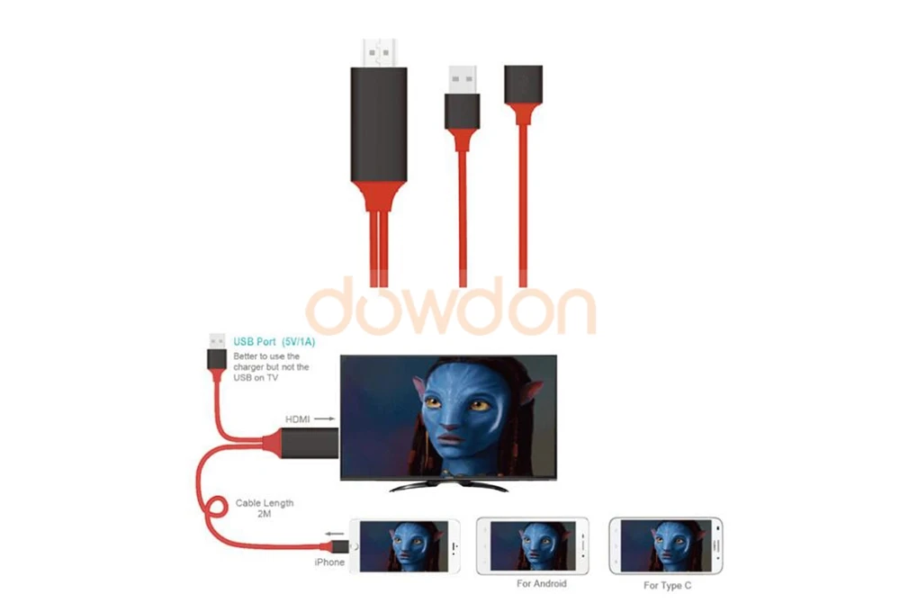 cable 8040170904 (5)