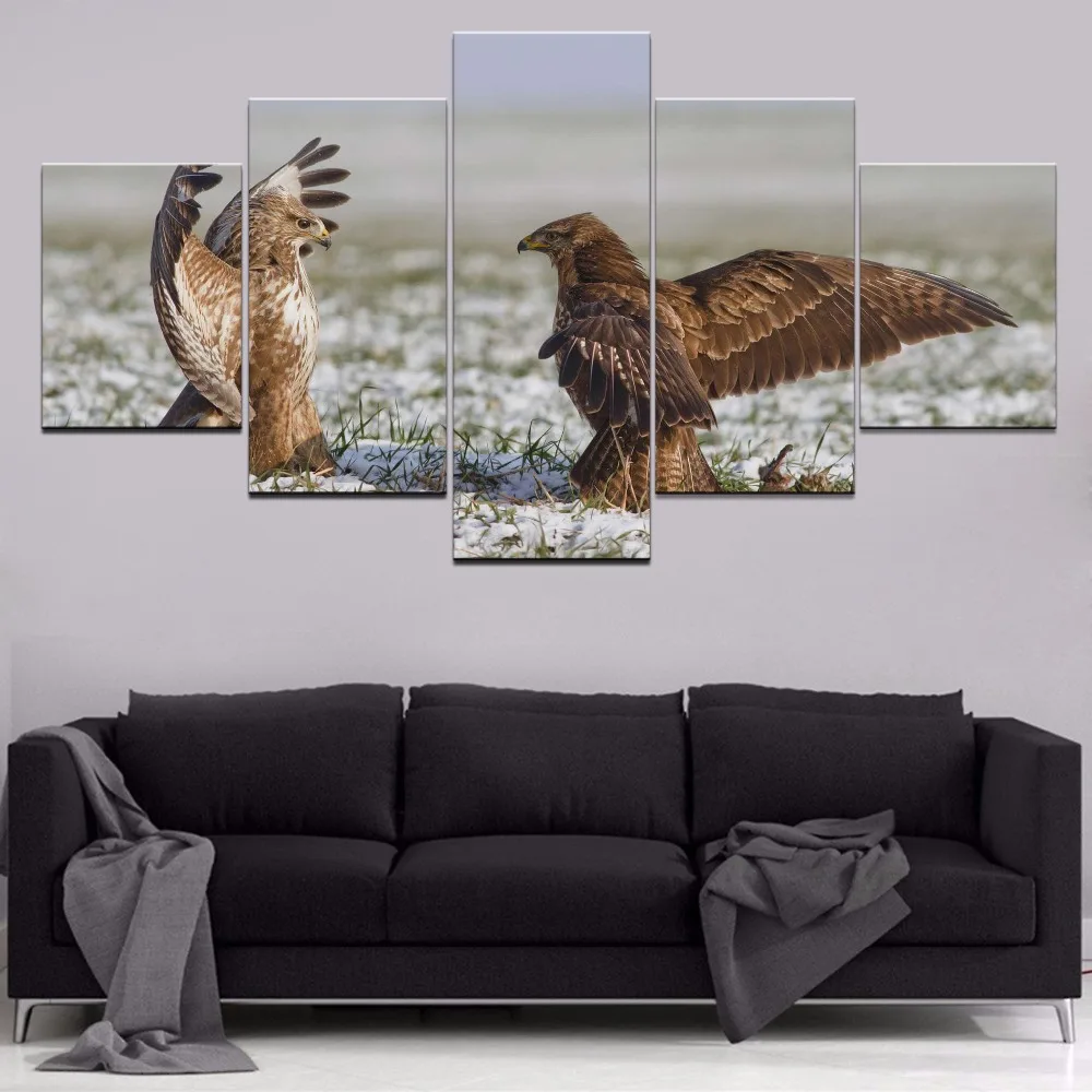 

Falcon Animal 5 Piece Canvas HD Print Animal Painting Canvas Wall Art For Living Room Modern Decorative Canvas Wall Art Painting