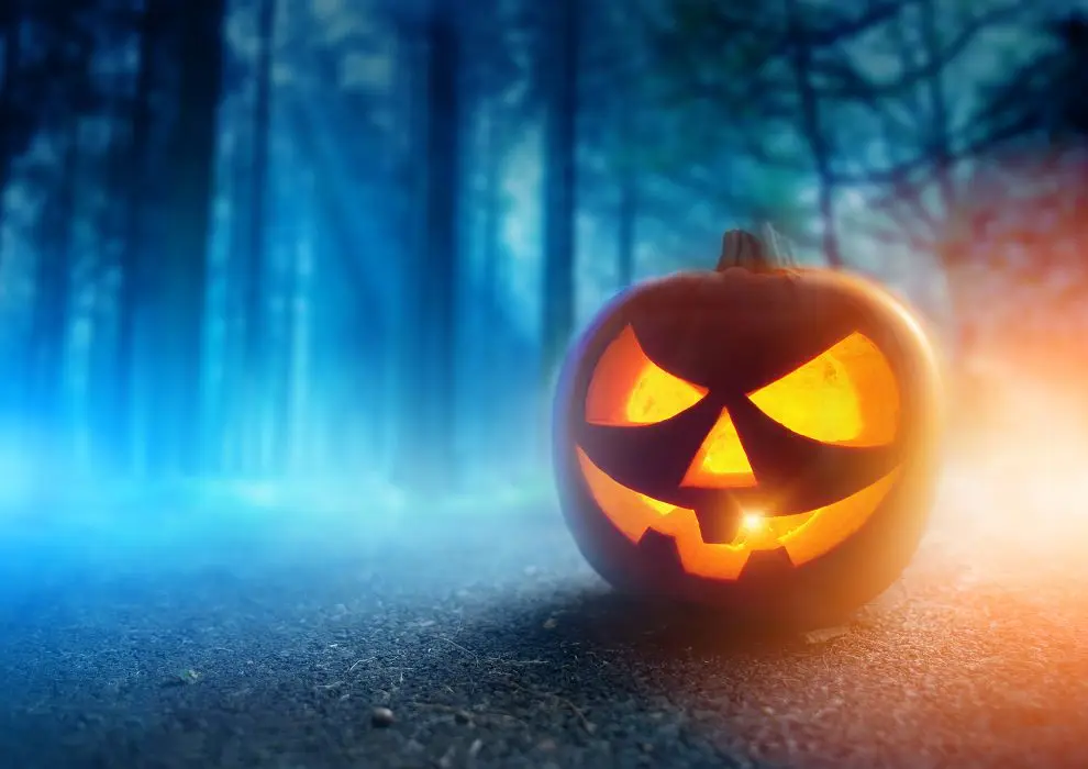 5x7ft kate forest photography background pumpkins woods fog halloween backdrop washable backdrop photography wsj 063 in background from consumer electronics