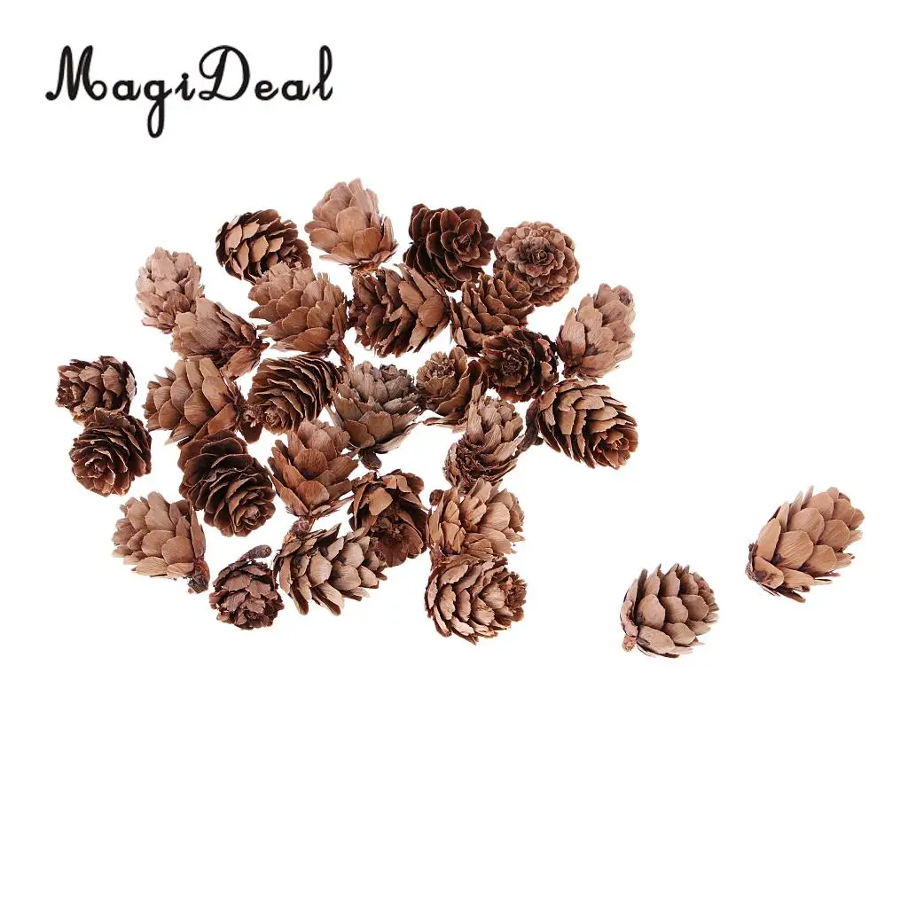  30 Pieces Mini Small Natural Dried Pine Cones In Bulk Dried Flowers for Christmas Decoration or Crafting