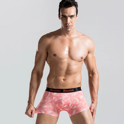 Mens Comfort Underwear Shorts Briefs Low Rise Hot Fashion Mens Comfort Underwear Shorts Briefs Low Rise Hot Fashion