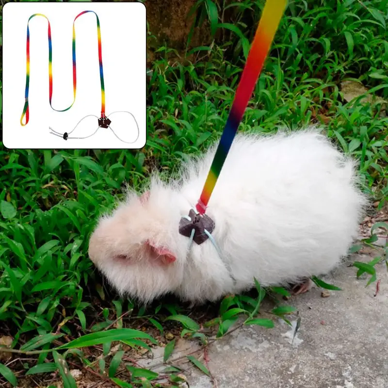 

1.3m Pet Leash Small Pets Harness Hamster Rabbit Chinchilla Squirrel Outdoor Adjustable Chest Lead Rope Colorful Animal Products