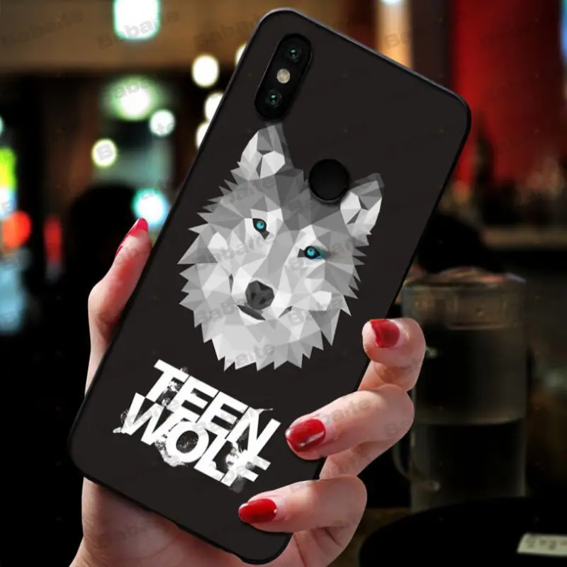 American TV series Teen Wolf 24