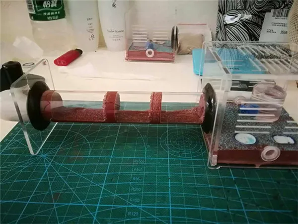 one tube nest (17)