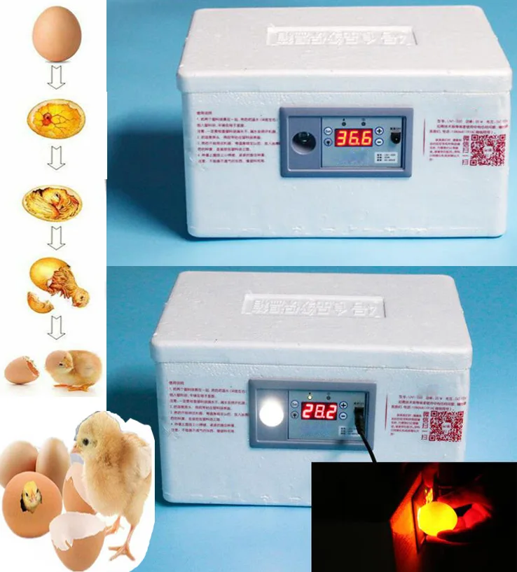 

22 Position Automatic Digital Family Eggs Incubator Chicken Poultry Hatcher Home Foam Waterbed Incubator Farm Incubation Tools