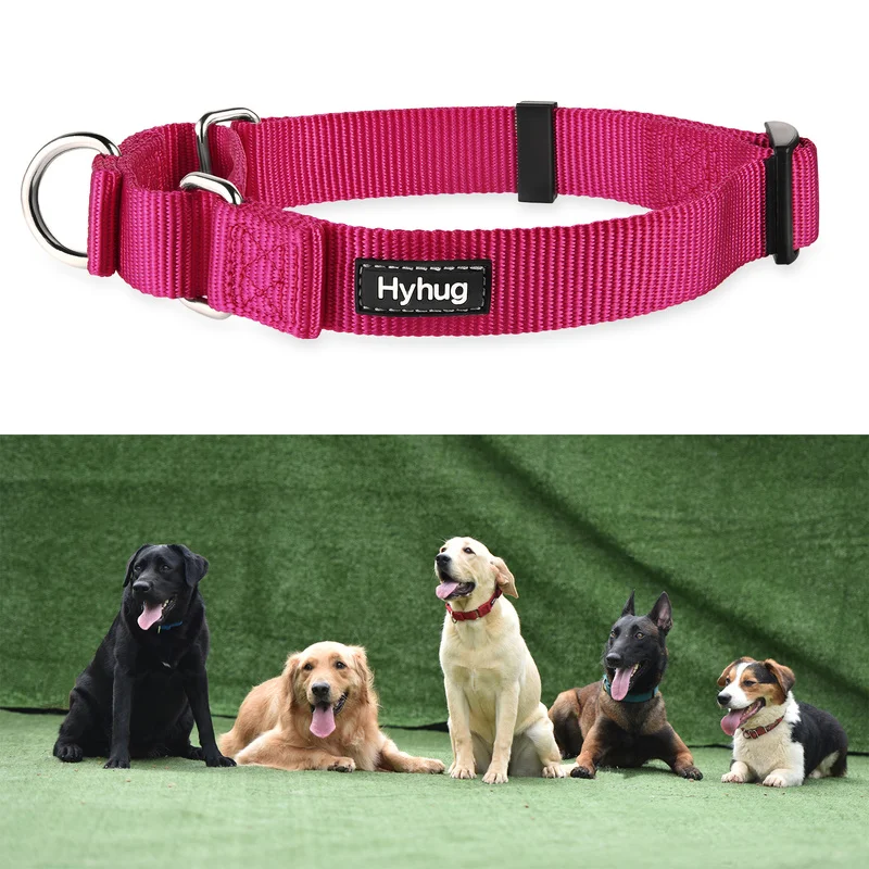 dog collar for pulling