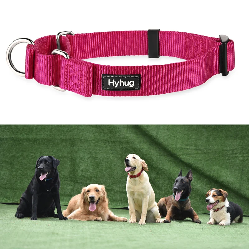 

Pet Dog Collars Nylon Martingale Collar Adjustable Pulling Dog Collar For Leash Lead Soft and Comfortable Medium Necklace HY117