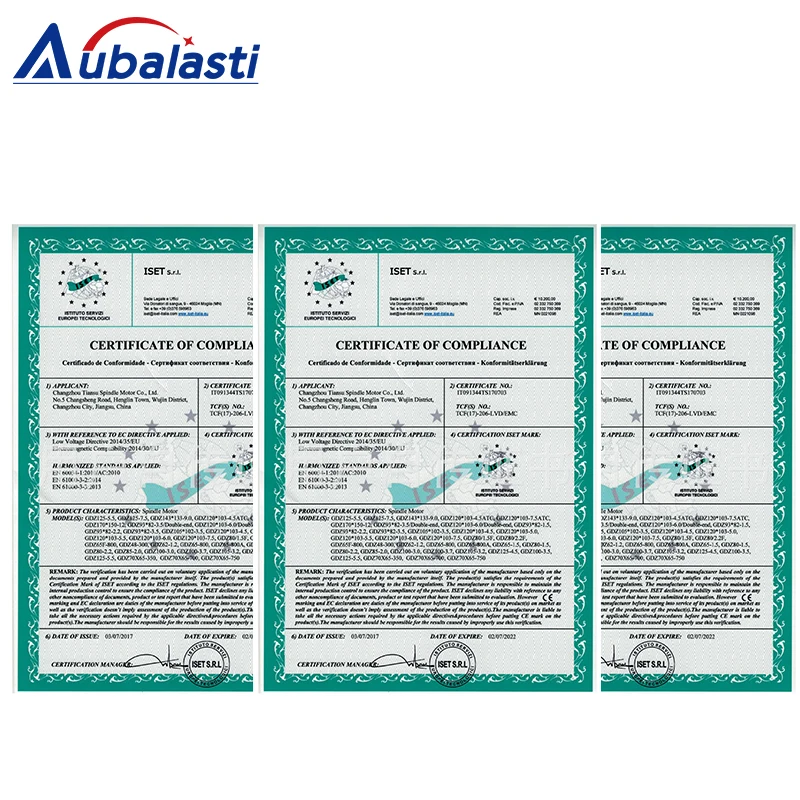Aubalasti шпиндель с водяным охлаждением GDZ 65 800A 800 Вт Шпиндельный двигатель 65x195мм