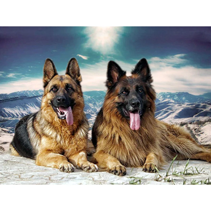

Full square/Round drill Diamond embroidery snow two dogs 5D DIY diamond Painting Cross Stitch Rhinestone Mosaic F21